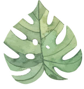 Shape 2