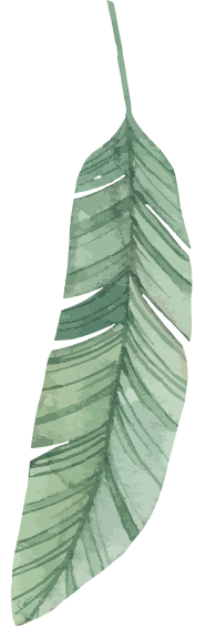 Shape 4
