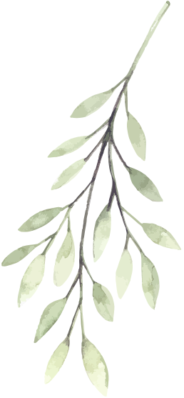 Shape 7