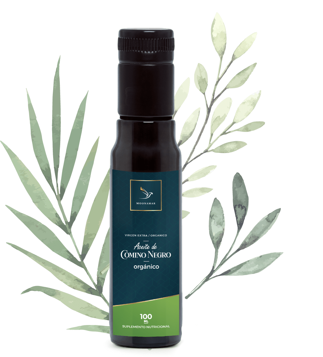 ACEITE DE COMINO NEGRO ORGÁNICO 100 ML (BIO)