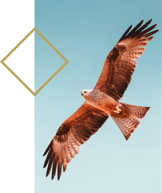 Productos con enfoque en los ingredientes de origen natural